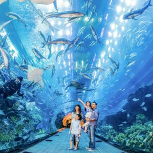 aquarium dubai mall