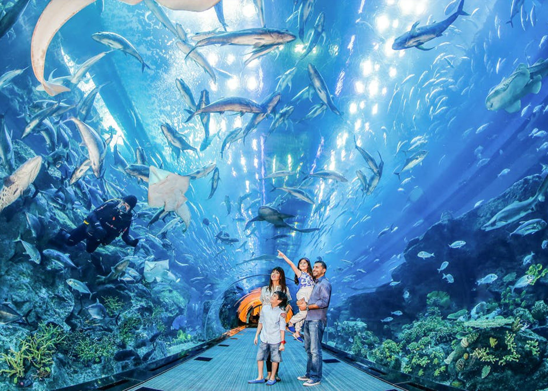 centro comercial aquarium dubai