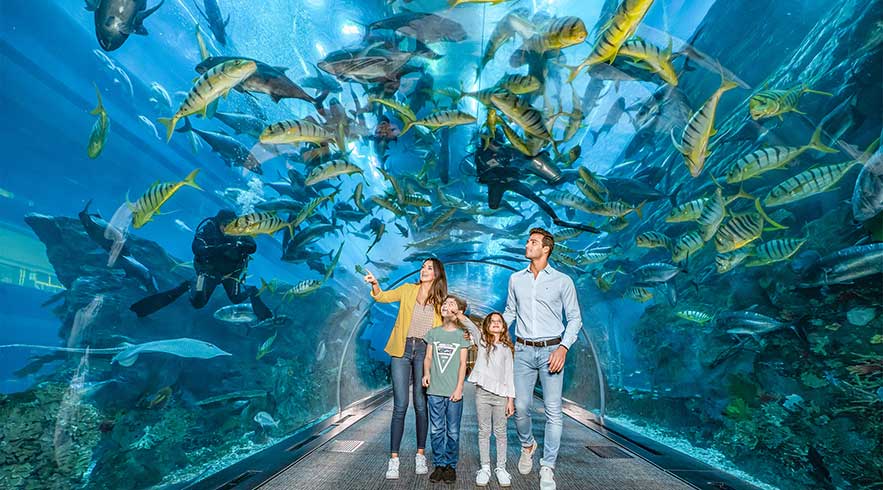 Aquarium Dubaï mall